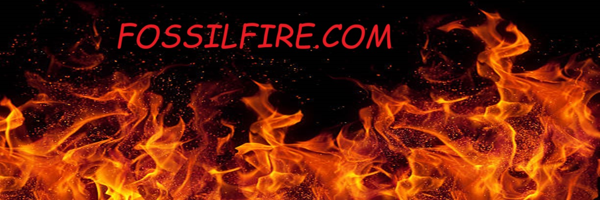 FossilFire Power Plant Control Systems
